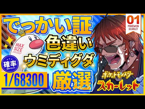 video thumb