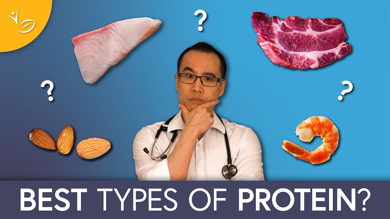 Best Proteins and Fats for Losing Belly Fat - YouTube