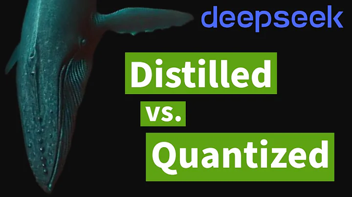 DeepSeek R1: Distilled & Quantized Models Explained