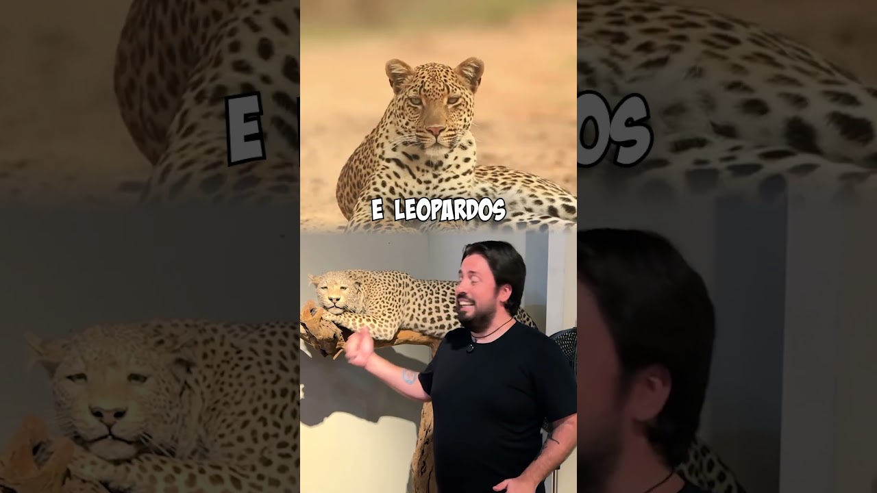 NOSSOS MAIORES PREDADORES!  #curiosidades #biologia