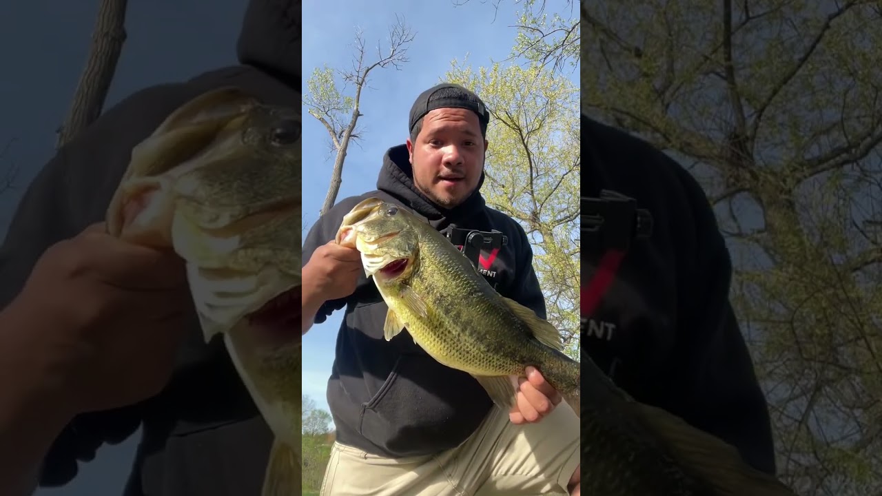 Bass Fishing May 2023 PB BASS!!!