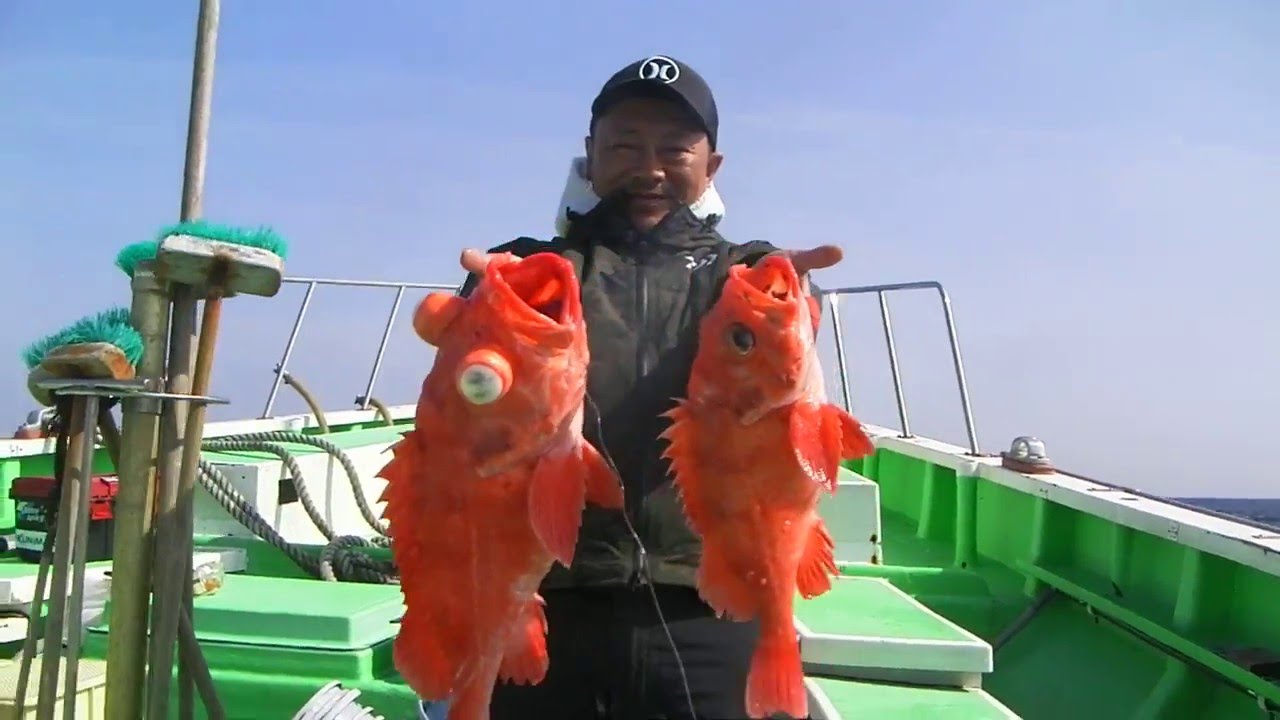 釣行報告 深場入門に最適 相模湾で狙うアコウダイ 浅ブロ沖船 浅草釣具の日常
