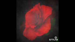 Dile geldim-Gülşen Kutlu