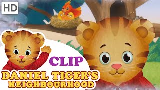 Daniel Tiger - Baby Animal Make-Believe