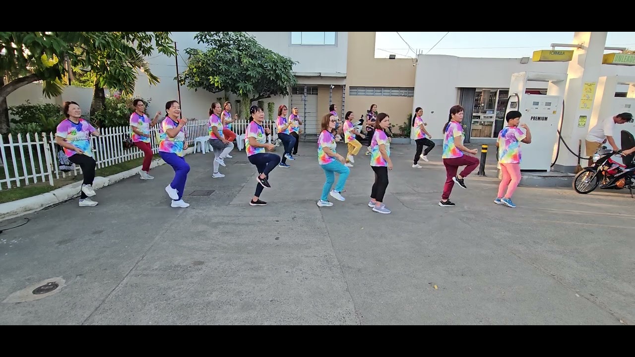 Malasin zumba ladies