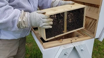 Installing a package in a top bar hive