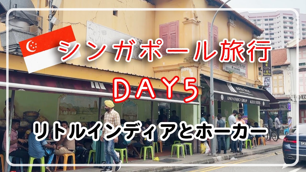 シンガポール旅行2023 VOL.5/リトルインディア/バナナリーフアポロでランチ/街歩き/ムスタファセンター/プラナカン