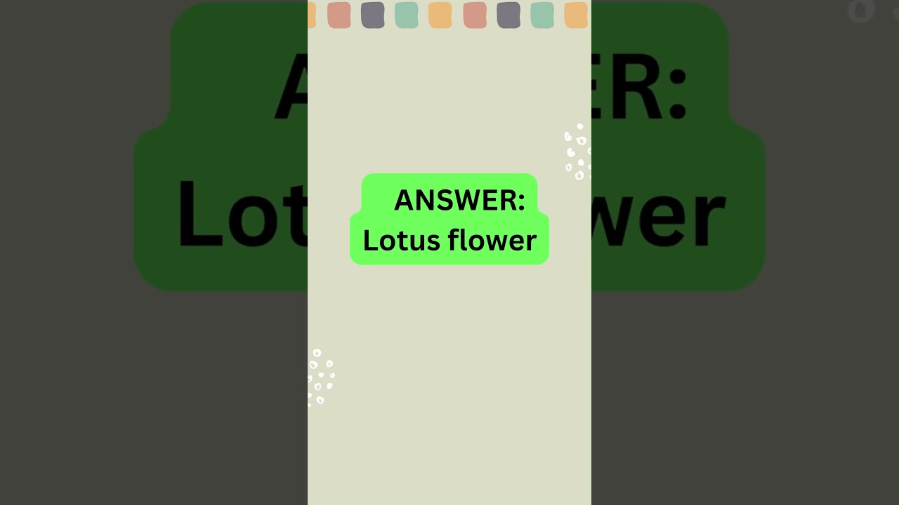 "Flower Name Quiz 🌸 Can You Guess the Blooms? 