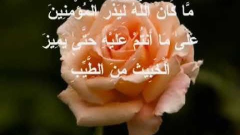 🔥🔥 نهاوند رائع لأحمد نعينع من سورة آل عمران❤️