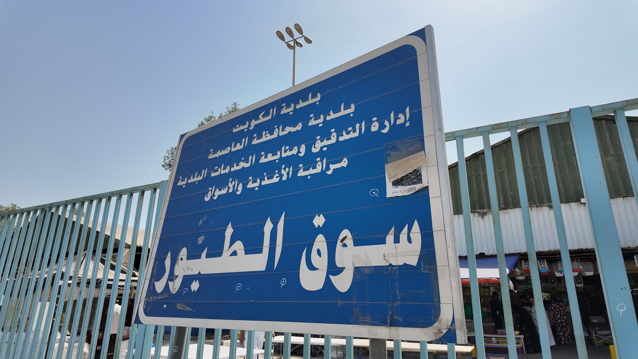 جولة سريعة في سوق الطيور - الكويت 