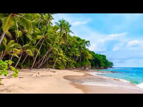 فيديو طويل 10ساعات صوت أمواج البحر و طائر النورس