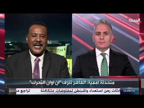 الرشيد محمد إبراهيم: لا إرادة دولية لفك الحصار عن الفاشر