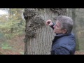 Realising the Value of Your Hardwoods Realising the Value of Your Hardwoods