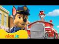 Patrulha Canina em Ação! Missões de Resgate #1 🐾🚓 | Nick Jr. em Português