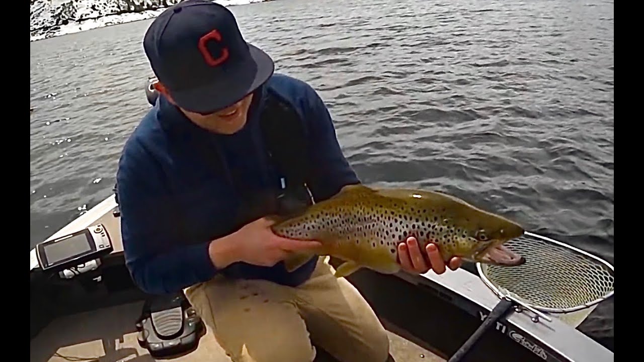 Giant Brown Trout After Ice Off 