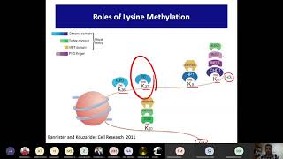 Histone methylation Part 2: Roles of Lysine methylation, Cross talk, transcription & recrutiment