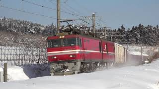 道南いさりび鉄道 キハ40 EH800貨物 (2025.1)