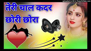 Teri Chal Gadar Chhori Chora Ne Maar Dalegi Sapna Choudhary Dj Remix Haryanvi Ashish Etawah