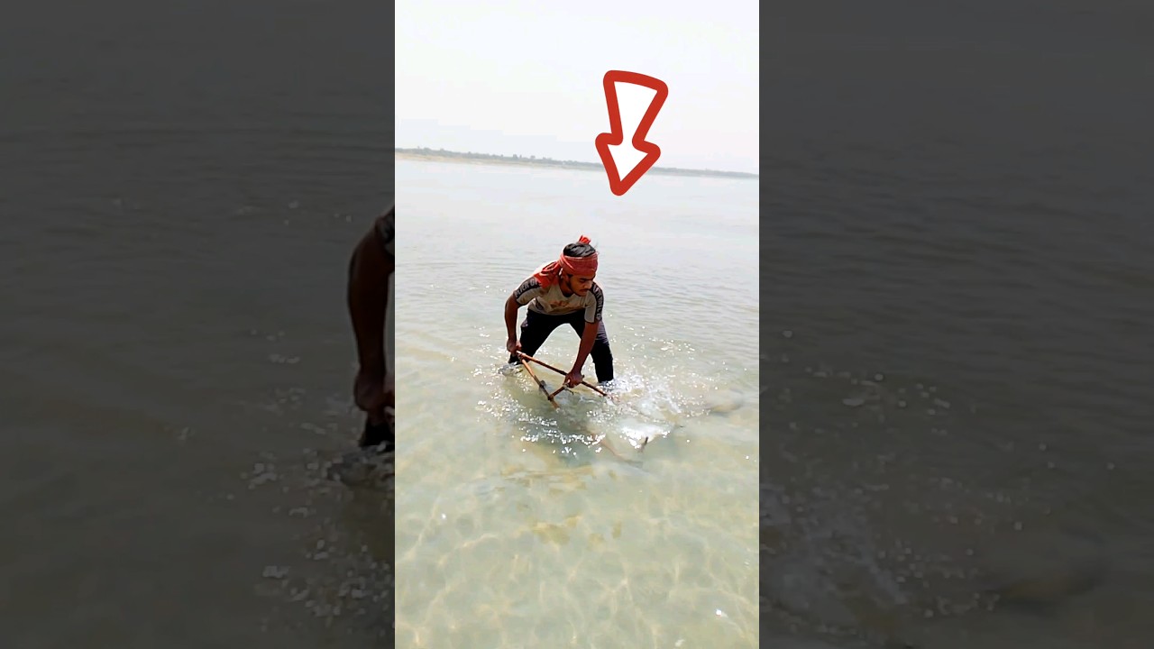 Padma river fishing #reels #shorts #viralvideo #