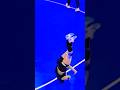 👑 Elite Handball Jump Shot #handball #trending #shorts #sports #ytshorts #youtubeshorts #usa #uk