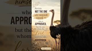 Are you seeking God's approval or people's applause?