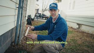 Blue Beetle Pest Control WDI Training Video