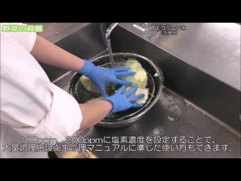 64-1204-80 電解次亜水生成装置（簡易設置タイプ） FES-12S 【AXEL