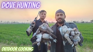 Dove Hunting| Goghi Ka Shikar| Best Hunting shots| Outdoor Cooking| Mitha Hunting Squad #dovehunting