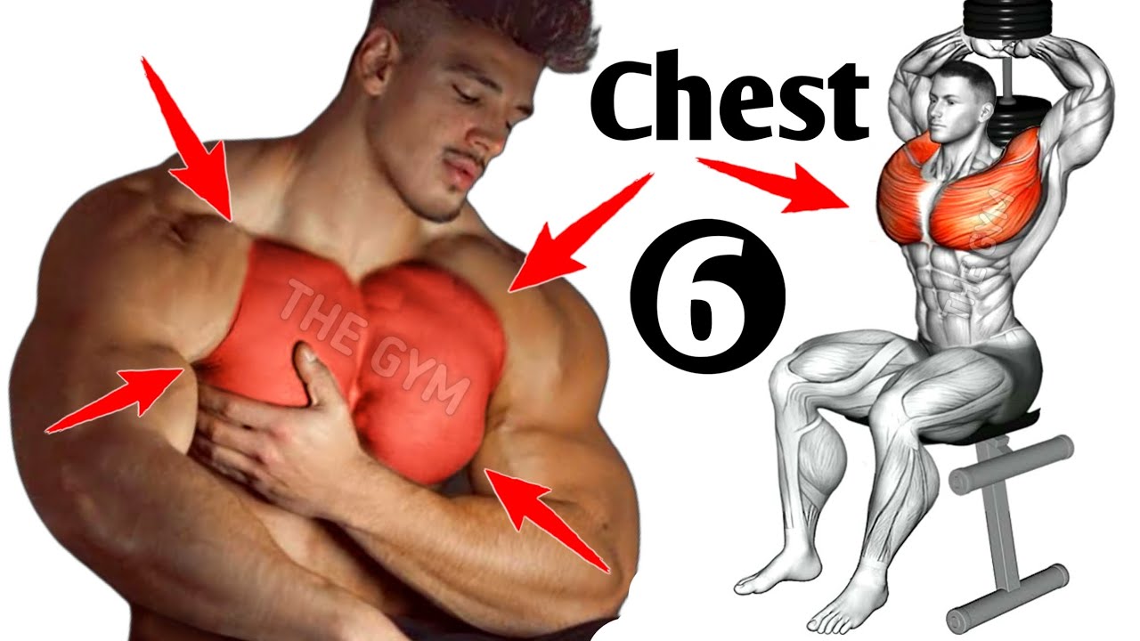 BUILD A FULLER CHEST AT HOME! SAVE THIS! #chest #workout