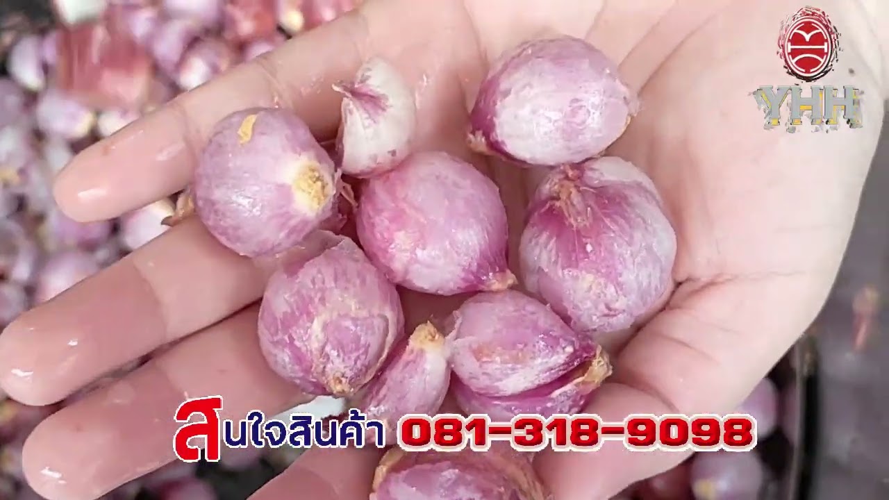 เครื่องปอกเปลือก10ลิตร ปอกเปลือกหอมแดง  (FOOD PEELER)