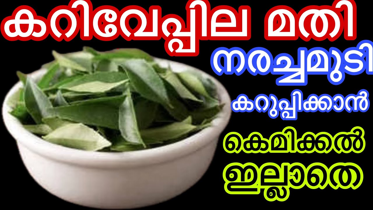 നരച്ചമുടി കറുപ്പിക്കാൻ വേപ്പില കൊണ്ട് ഇങ്ങനെ ഒന്ന് ചെയ്തു നോക്കു കെമിക്കൽ ഇല്ലാതെ