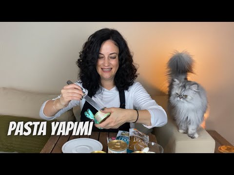 Lola’nın doğumgünü partisi 🎉 Kediler için doğumgünü pastası yapımı ve hediye çekilişi 🎂🎁