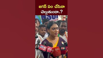 YS Sharmila Shocking Comments on YS Jagan | NTV