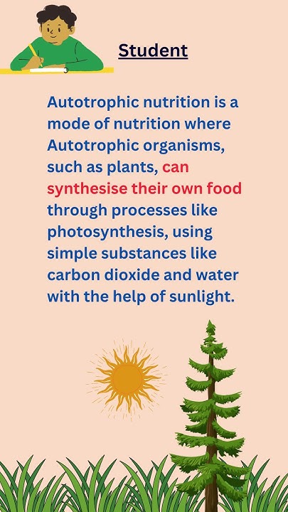 autotrophic-mode-of-nutrition-definition-of-autotrophic-nutrition