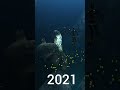 Bloop Evolution 2020 2023 Shorts Ocean Bloop Bloop2024 Spacebloop Bloop Evolution 2020 2023 Shorts Ocean Bloop Bloop2024 Spacebloop