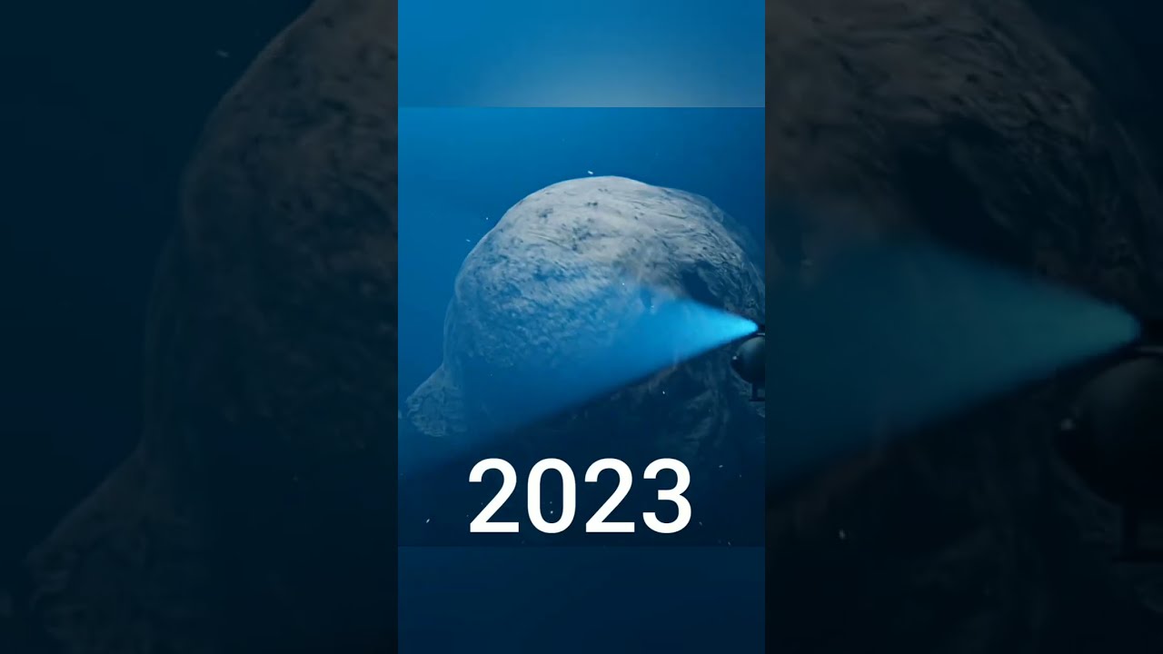 Bloop Evolution 2020 2023 Shorts Ocean Bloop2024 Spacebloop
