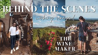 DAY IN THE LIFE OF A WINEMAKER IN FRANCE (tour with a professional vintner in Sancerre)
