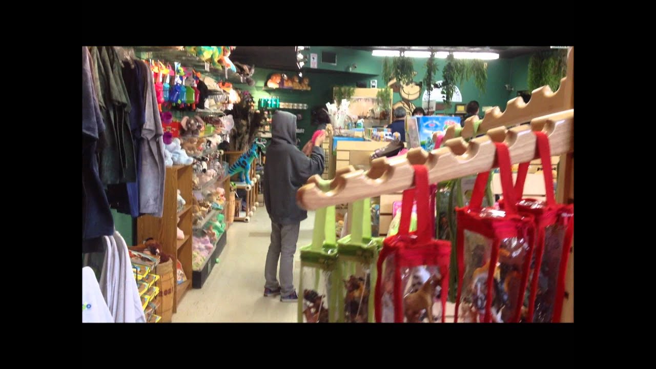 Santa Ana Zoo Gift Shop YouTube
