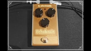 All that TC Electronic Echobrain : knobs turning & self oscillations