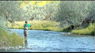 Soaring Eagle Lodge Review