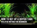 How to set up a walstad method tank  dirted tanks for beginners