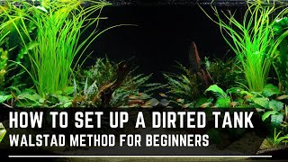How To Set Up A Walstad Method Tank - Dirted Tanks For Beginners