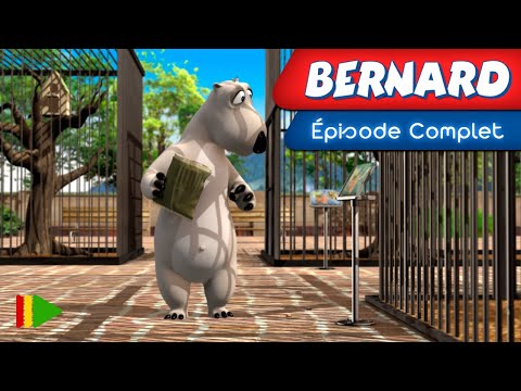 BERNARD BEAR - 91 | Épisode complet |
