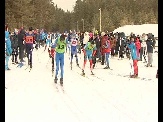 На лыжной базе Крутой Лог проходили традиционные соревнования по лыжным гонкам среди школьников