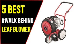 5 Best Walk Behind Leaf Blower In 2021 With Buying Guide