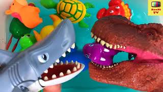 Животные Для Детей Живые - Учим Животных Для Самых Маленьких Bonbi Tv