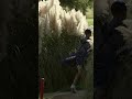 Fall golf is wrapping up ⛳️ 🎥 IG/utepmensgolf #golf #golftiktok #utep #NCAAMGolf