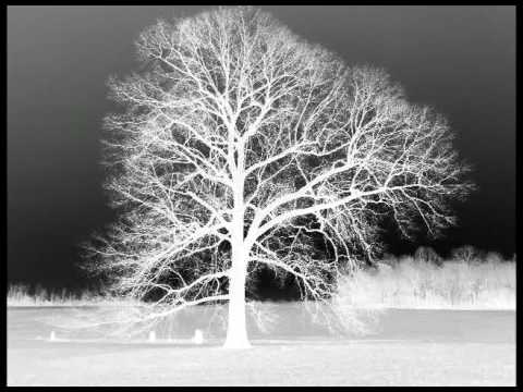 When Darkness Turns To Ashes - IN THE WAKE - Brand...