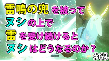 تحميل 雷鳴の兜