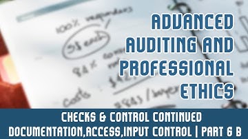 Audit Under CIS Environment | Checks & Control Contd.[Documentation,Access,Input Control] | Part 6 B